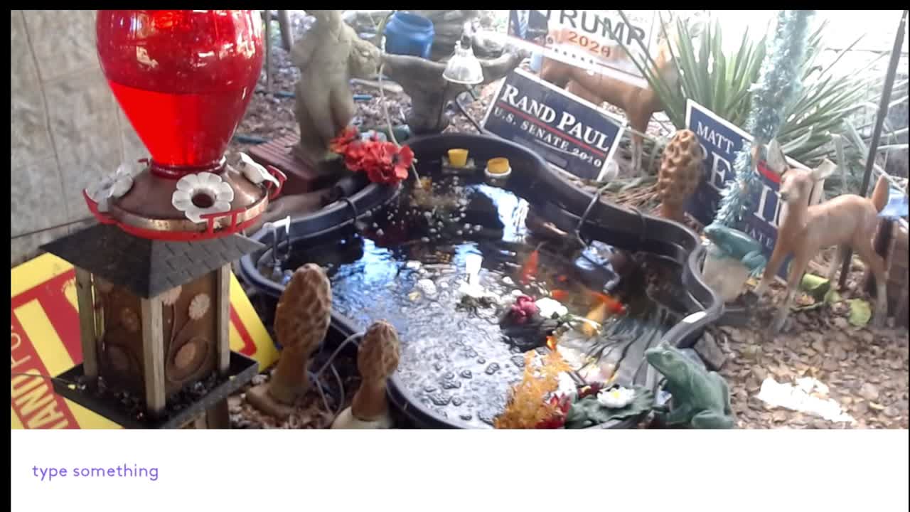 Cave City Kentucky (birdfeeder)