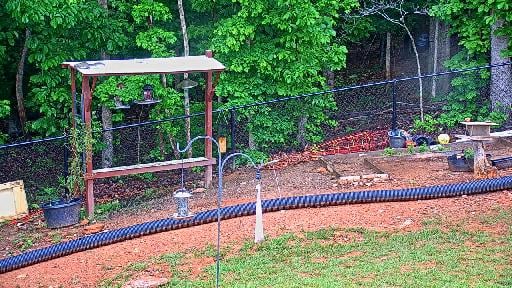 SunsetVista2 Feeder PTZ