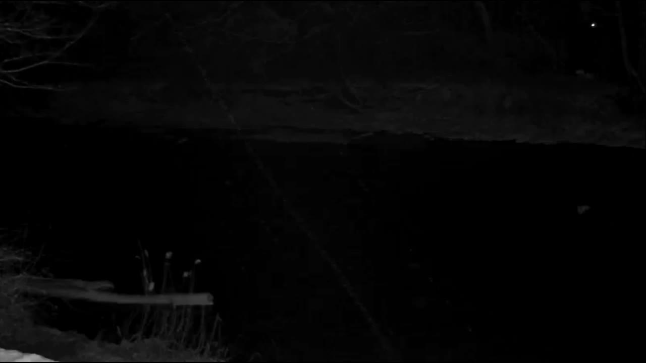 Trout River - Montgomery Center, VT 05471