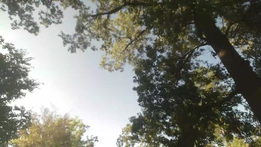 West Monroe