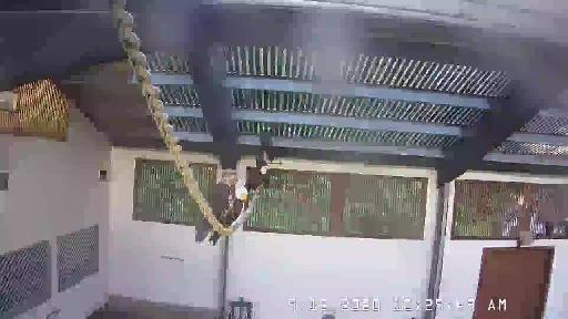 AlaskaRaptorCenter Page