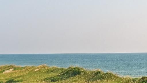 Waves