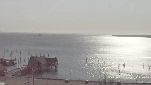 A Slice of the Maine Coast Live